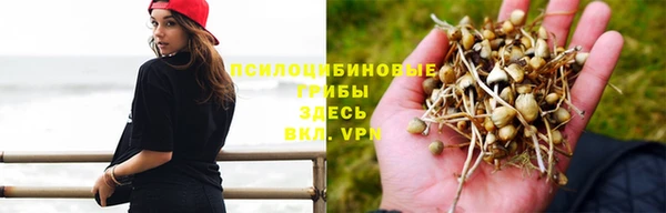 а пвп мука Алзамай